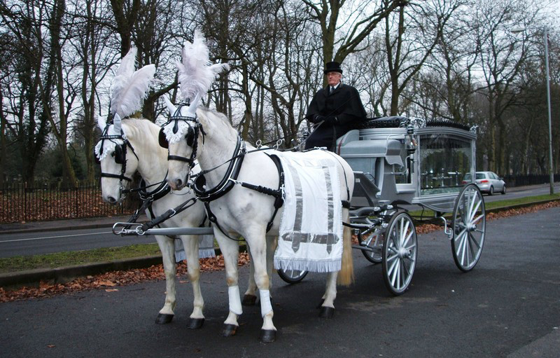 Horse Drawn Funeral